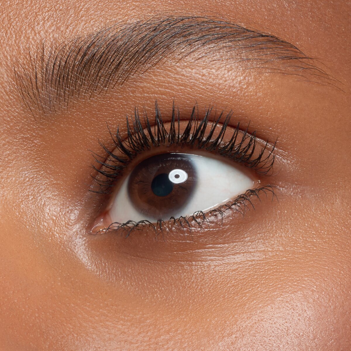 Essence Easy &amp; Wow Brow Set Medium